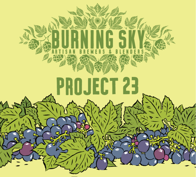 Project 23
