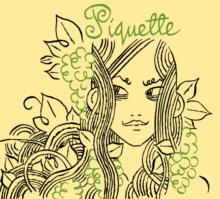 Piquette