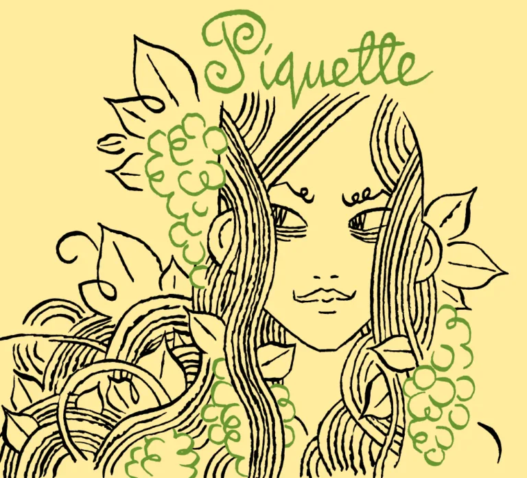 Piquette